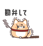 飛び出す！ふてぶてしばいぬ＆キジトラ猫 2（個別スタンプ：19）