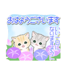 まんまるチビ猫たちの夏（個別スタンプ：3）