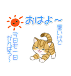 まんまるチビ猫たちの夏（個別スタンプ：4）