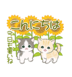 まんまるチビ猫たちの夏（個別スタンプ：5）