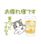 まんまるチビ猫たちの夏（個別スタンプ：10）