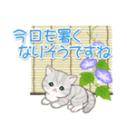 まんまるチビ猫たちの夏（個別スタンプ：13）