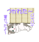 まんまるチビ猫たちの夏（個別スタンプ：17）