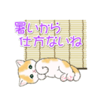 まんまるチビ猫たちの夏（個別スタンプ：19）