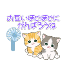 まんまるチビ猫たちの夏（個別スタンプ：22）