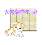 まんまるチビ猫たちの夏（個別スタンプ：24）