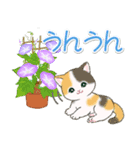 まんまるチビ猫たちの夏（個別スタンプ：28）