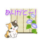 まんまるチビ猫たちの夏（個別スタンプ：33）