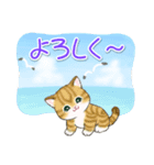 まんまるチビ猫たちの夏（個別スタンプ：35）