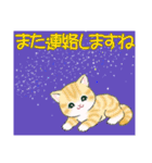 まんまるチビ猫たちの夏（個別スタンプ：40）