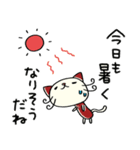 夏☆ねこのバンスキー（個別スタンプ：5）