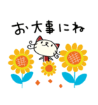 夏☆ねこのバンスキー（個別スタンプ：38）