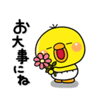ず～っと使える♡やさしいぴっぴのスタンプ（個別スタンプ：1）