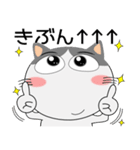 ハチワレ猫★動物パペット大集合 再び（個別スタンプ：25）