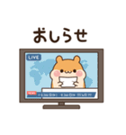 ハムスター3兄弟の飛び出すスタンプ（個別スタンプ：19）