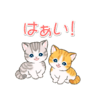 よちよちトラ猫 可愛い毎日（個別スタンプ：1）