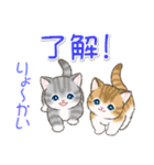 よちよちトラ猫 可愛い毎日（個別スタンプ：3）