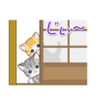 よちよちトラ猫 可愛い毎日（個別スタンプ：5）