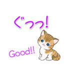 よちよちトラ猫 可愛い毎日（個別スタンプ：9）