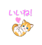 よちよちトラ猫 可愛い毎日（個別スタンプ：10）