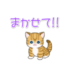 よちよちトラ猫 可愛い毎日（個別スタンプ：14）