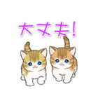 よちよちトラ猫 可愛い毎日（個別スタンプ：16）
