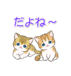 よちよちトラ猫 可愛い毎日（個別スタンプ：17）