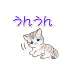 よちよちトラ猫 可愛い毎日（個別スタンプ：20）