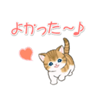 よちよちトラ猫 可愛い毎日（個別スタンプ：22）