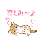 よちよちトラ猫 可愛い毎日（個別スタンプ：24）