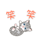 よちよちトラ猫 可愛い毎日（個別スタンプ：25）