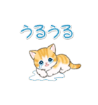 よちよちトラ猫 可愛い毎日（個別スタンプ：26）