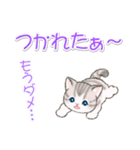 よちよちトラ猫 可愛い毎日（個別スタンプ：31）