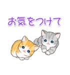 よちよちトラ猫 可愛い毎日（個別スタンプ：32）