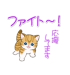 よちよちトラ猫 可愛い毎日（個別スタンプ：33）