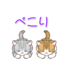 よちよちトラ猫 可愛い毎日（個別スタンプ：36）