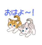 よちよちトラ猫 可愛い毎日（個別スタンプ：37）