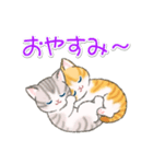 よちよちトラ猫 可愛い毎日（個別スタンプ：39）