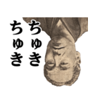 福沢諭吉♥流行語スタンプ（個別スタンプ：32）