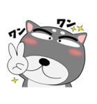 今日は、黒柴くん（個別スタンプ：4）