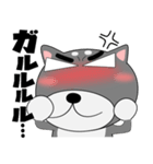 今日は、黒柴くん（個別スタンプ：5）