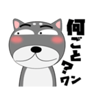 今日は、黒柴くん（個別スタンプ：6）