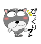 今日は、黒柴くん（個別スタンプ：9）