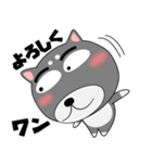 今日は、黒柴くん（個別スタンプ：11）