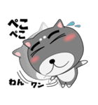 今日は、黒柴くん（個別スタンプ：12）