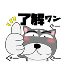 今日は、黒柴くん（個別スタンプ：13）