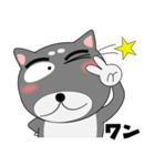 今日は、黒柴くん（個別スタンプ：14）