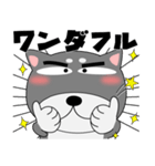 今日は、黒柴くん（個別スタンプ：15）