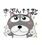 今日は、黒柴くん（個別スタンプ：19）