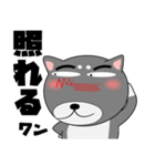 今日は、黒柴くん（個別スタンプ：20）